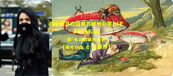 крисы Коряжма