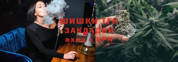 гидра Корсаков