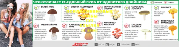 гидра Корсаков