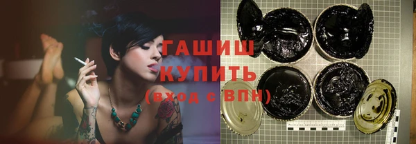 крисы Коряжма