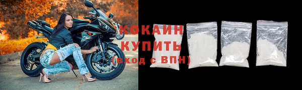гидра Корсаков