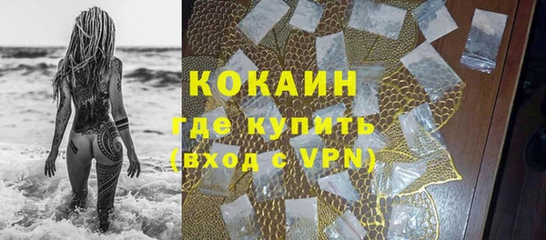 крисы Коряжма