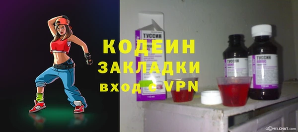 крисы Коряжма