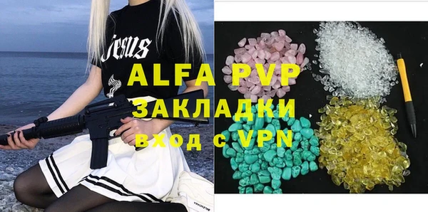 крисы Коряжма