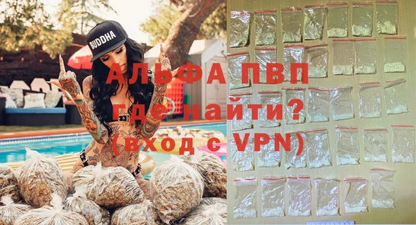 крисы Коряжма
