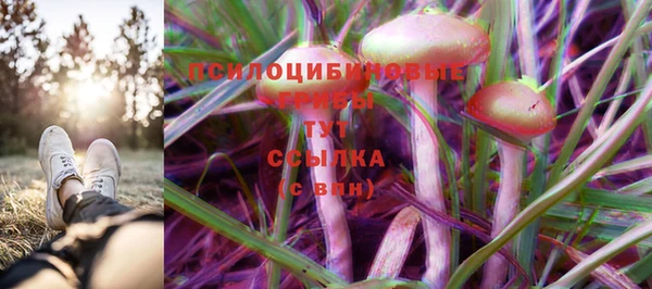 гидра Корсаков