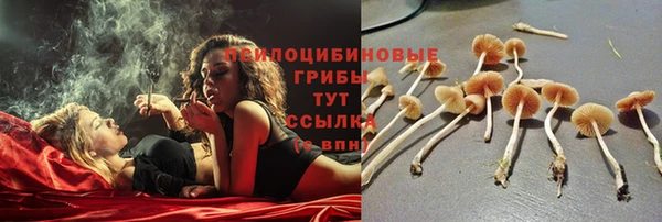 крисы Коряжма