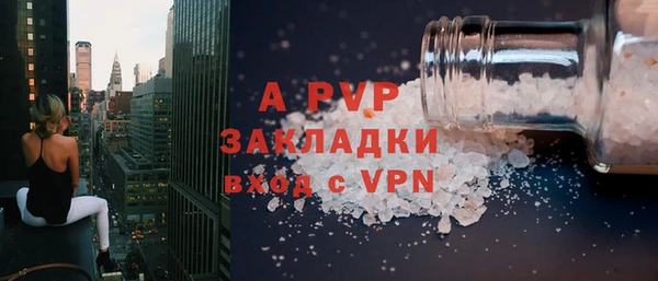 крисы Коряжма