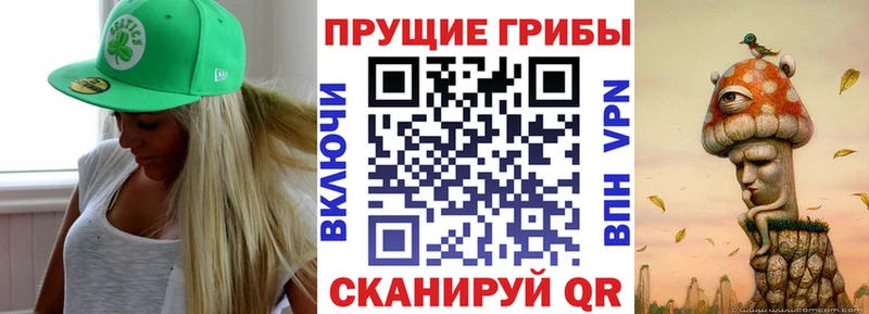 Галлюциногенные грибы Psilocybine cubensis  Купить где  Заозёрск 